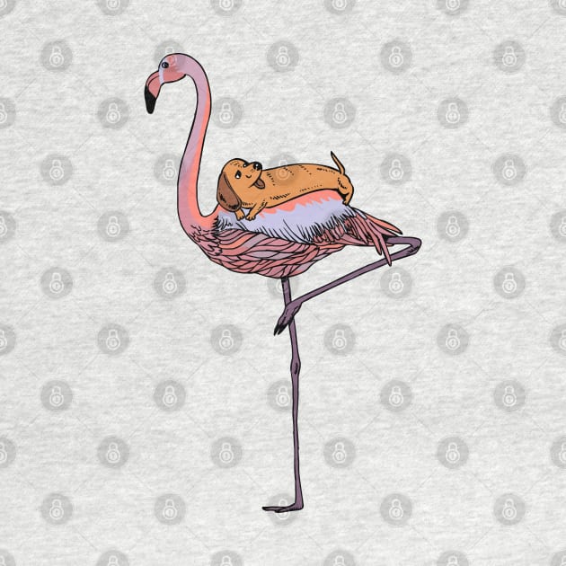 Flamingo and Dachshund by huebucket